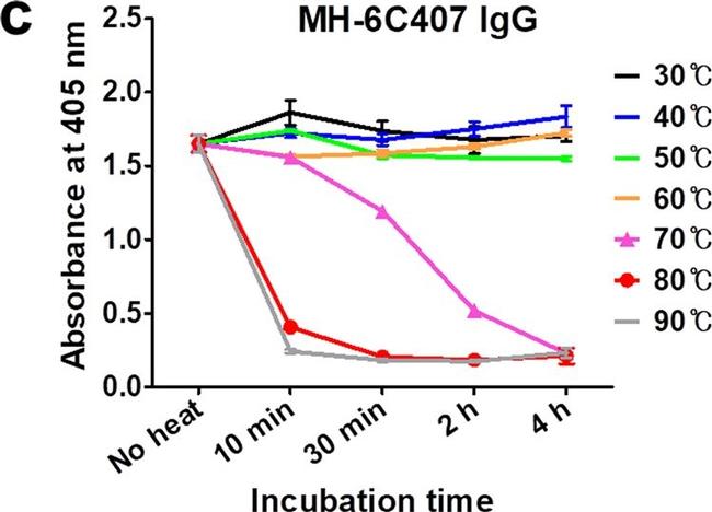 Human IgG Fc gamma Secondary Antibody in ELISA (ELISA)