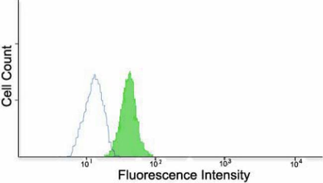 Nectin 1 Antibody