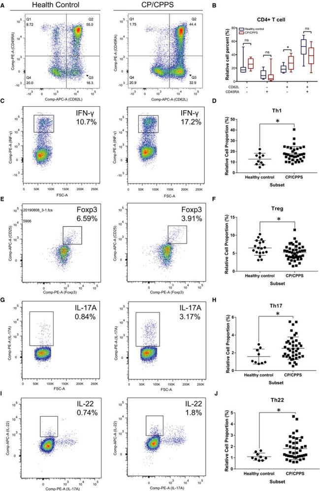 FOXP3 Monoclonal Antibody (236A/E7) (14-4777-82)