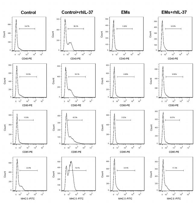 CD80 (B7-1) Antibody in Flow Cytometry (Flow)