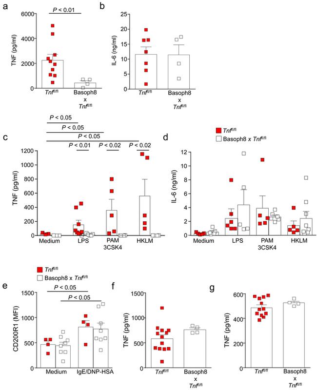 CD200 Receptor Antibody in Flow Cytometry (Flow)