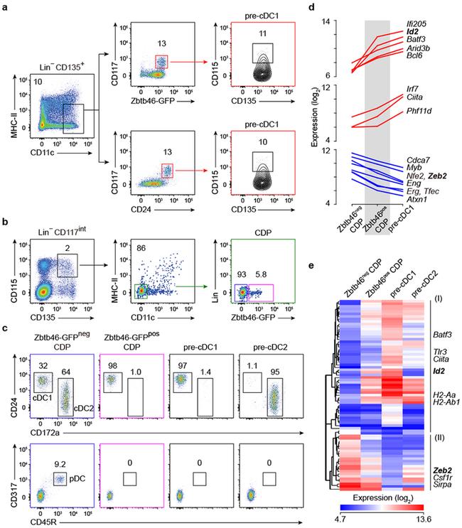 CD24 Antibody in Flow Cytometry (Flow)