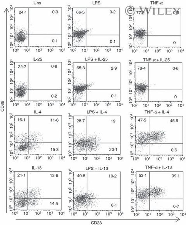 CD23 Antibody in Flow Cytometry (Flow)