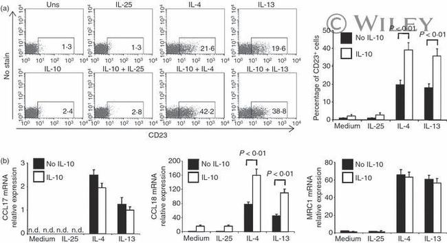 CD23 Antibody in Flow Cytometry (Flow)