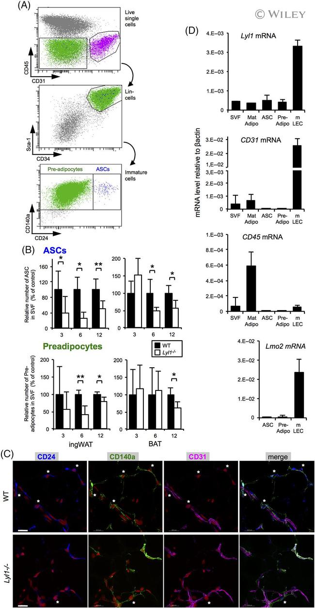 CD24 Antibody in Flow Cytometry (Flow)