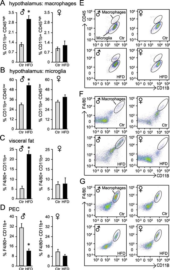 CD45 Antibody in Flow Cytometry (Flow)