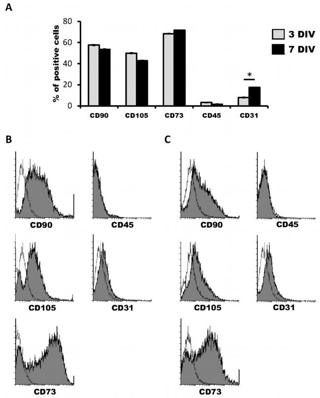 CD105 (Endoglin) Monoclonal Antibody (SN6), PE (12-1057-42)