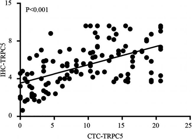 TRPC5 Antibody in Immunohistochemistry (IHC)