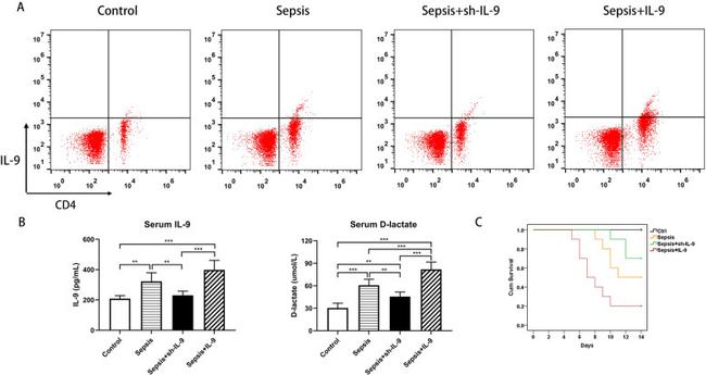 IL-9 Antibody in Flow Cytometry (Flow)