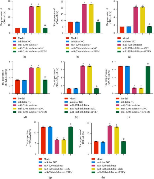 CD8 Antibody in Flow Cytometry (Flow)