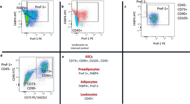 Rabbit IgG (H+L) Cross-Adsorbed Secondary Antibody in Flow Cytometry (Flow)