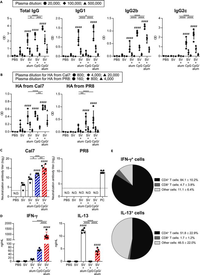 IL-13 Monoclonal Antibody (eBio13A), Alexa Fluor™ 488 (53-7133-82)