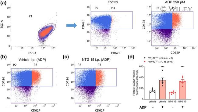 CD62P (P-Selectin) Antibody in Flow Cytometry (Flow)