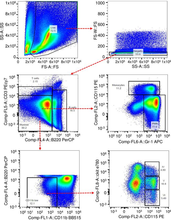 CD115 (c-fms) Monoclonal Antibody (AFS98), PE, eBioscience™