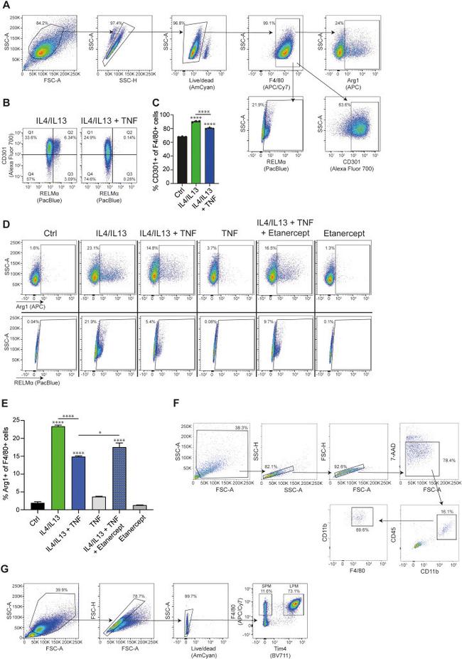 CD45 Antibody in Flow Cytometry (Flow)