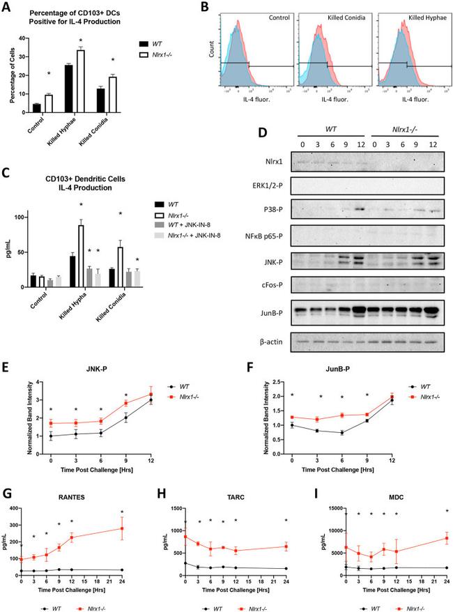 IL-4 Antibody in Flow Cytometry (Flow)