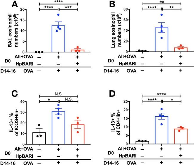 IL-13 Monoclonal Antibody (eBio13A), PE-Cyanine7 (25-7133-82)