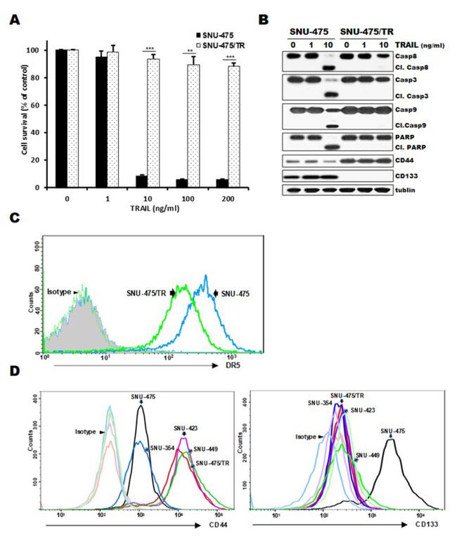 TRAIL-R2 (DR5) Antibody in Flow Cytometry (Flow)