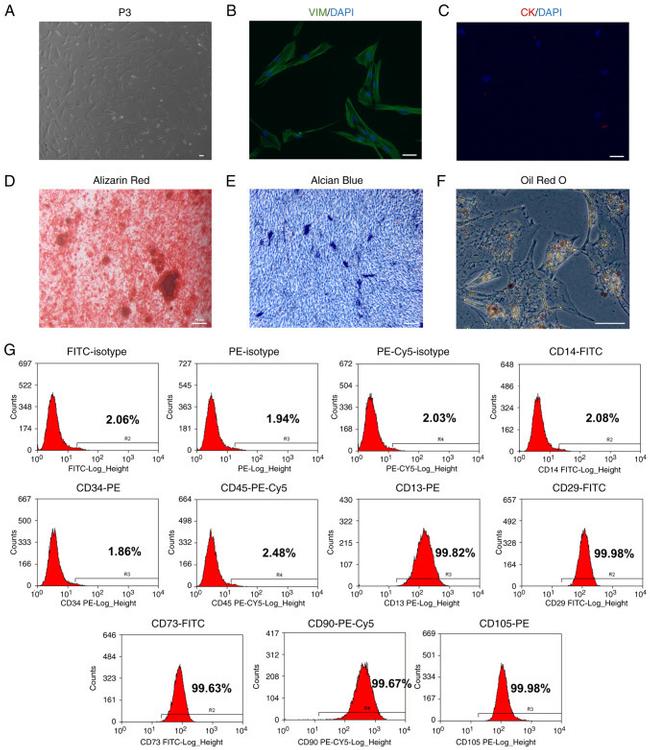 CD29 (Integrin beta 1) Monoclonal Antibody (eBioHMb1-1 (HMb1-1 