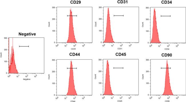 CD90.1 (Thy-1.1) Antibody in Flow Cytometry (Flow)