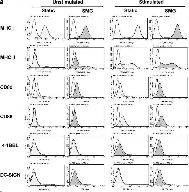 Rat IgG2b kappa Isotype Control in Flow Cytometry (Flow)