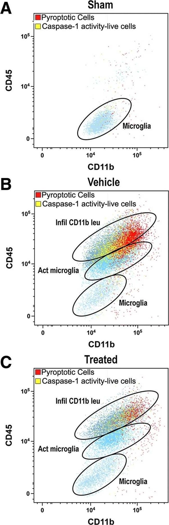 Rat IgG2a kappa Isotype Control in Flow Cytometry (Flow)