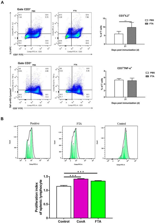 IL-2 Monoclonal Antibody (JES6-5H4), PE (12-7021-82)