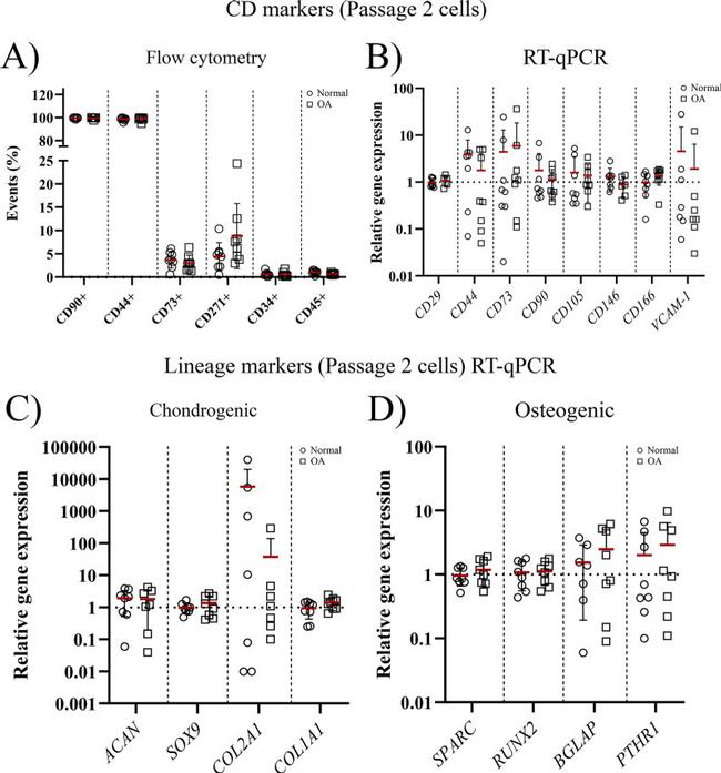 CD45 Antibody in Flow Cytometry (Flow)