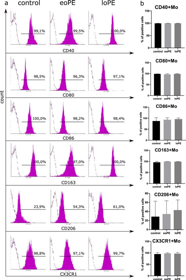 CX3CR1 Antibody in Flow Cytometry (Flow)