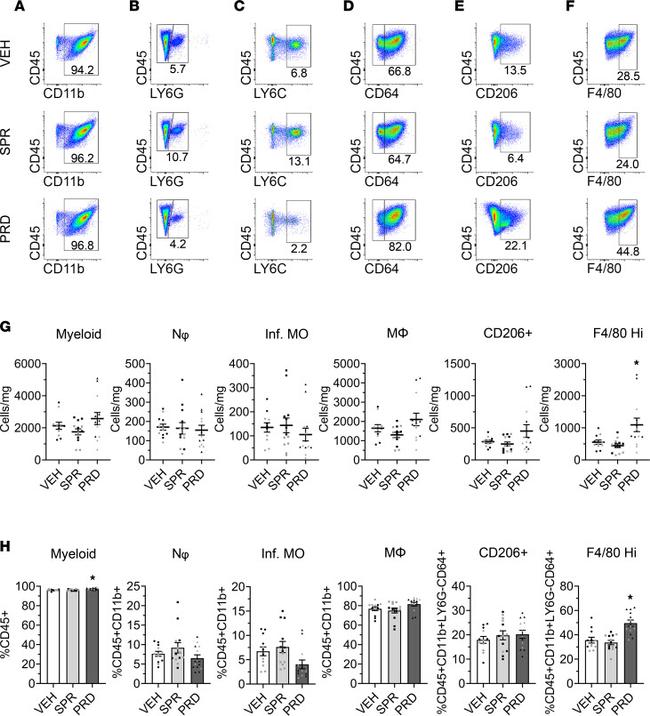 Ly-6C Antibody in Flow Cytometry (Flow)