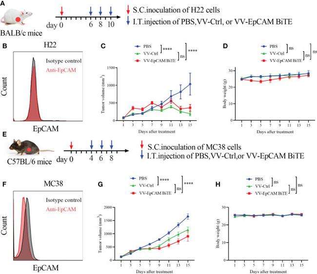 CD326 (EpCAM) Antibody in Flow Cytometry (Flow)