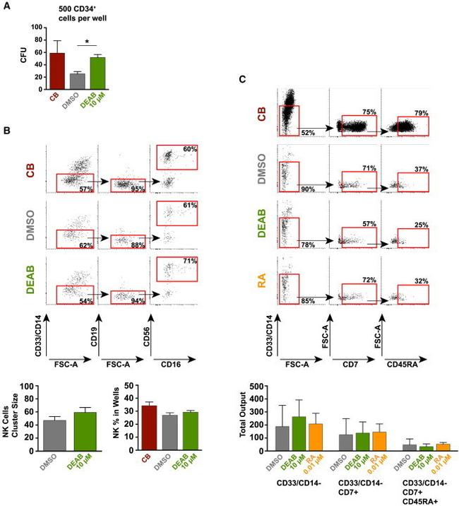 https://www.thermofisher.com/antibody/images/650/tfs_2485_gr3.jpg?time=20220826?time=20220826