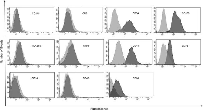 CD73 Antibody in Flow Cytometry (Flow)