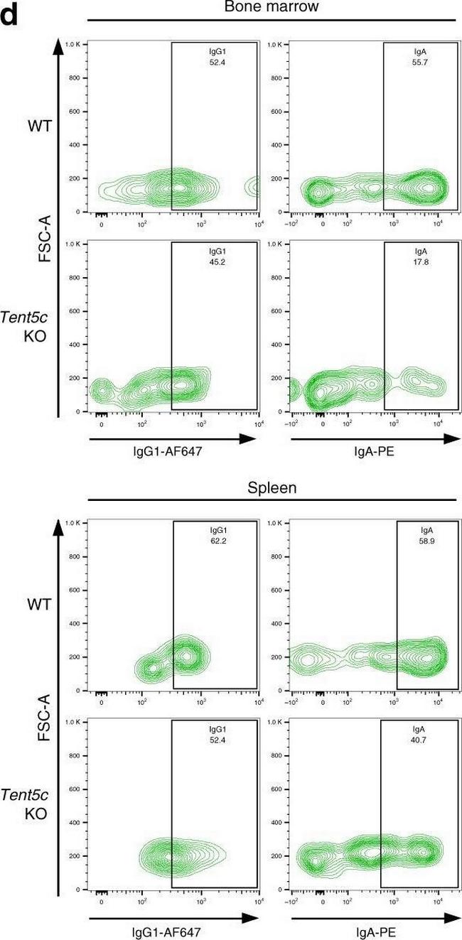 Mouse IgG1 Cross-Adsorbed Secondary Antibody in Flow Cytometry (Flow)