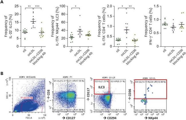 CD36 Antibody in Flow Cytometry (Flow)