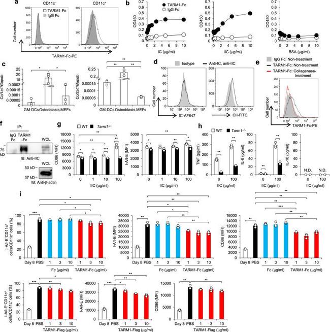 Collagen II Antibody in Flow Cytometry (Flow)