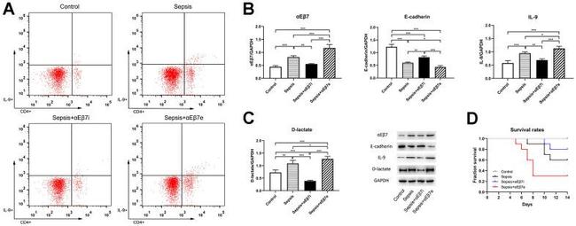 IL-9 Antibody in Flow Cytometry (Flow)