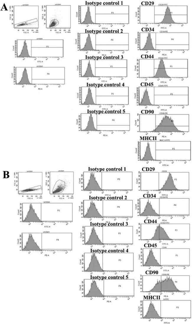 CD45 Antibody in Flow Cytometry (Flow)