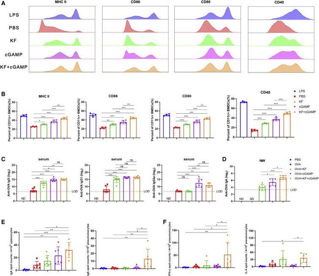 CD86 (B7-2) Antibody in Flow Cytometry (Flow)