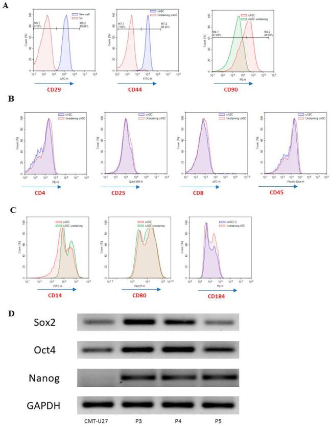 ITGB1 Antibody in Flow Cytometry (Flow)