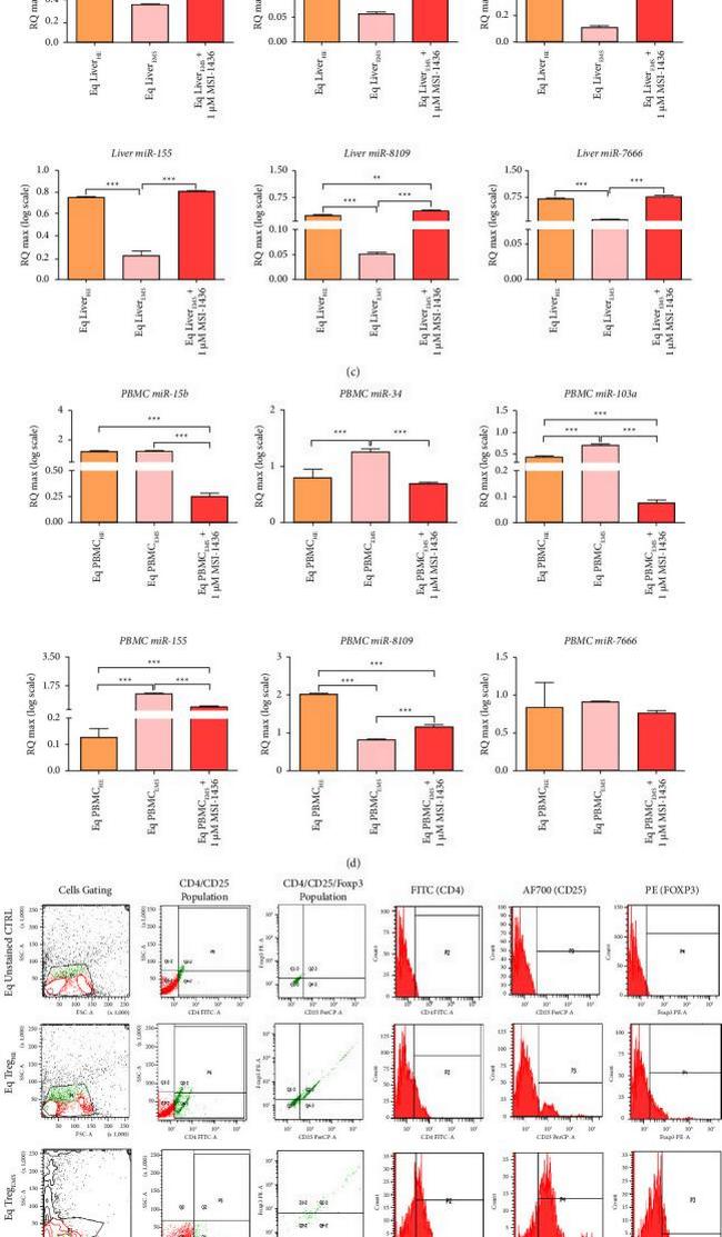 FOXP3 Antibody in Flow Cytometry (Flow)