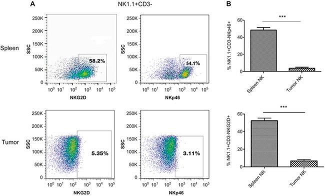 CD335 (NKp46) Monoclonal Antibody (29A1.4), eFluor™ 450 (48-3351-82)