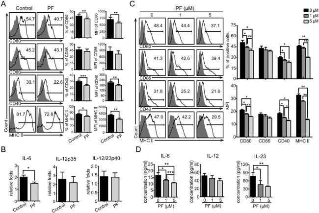 CD40 Antibody in Flow Cytometry (Flow)