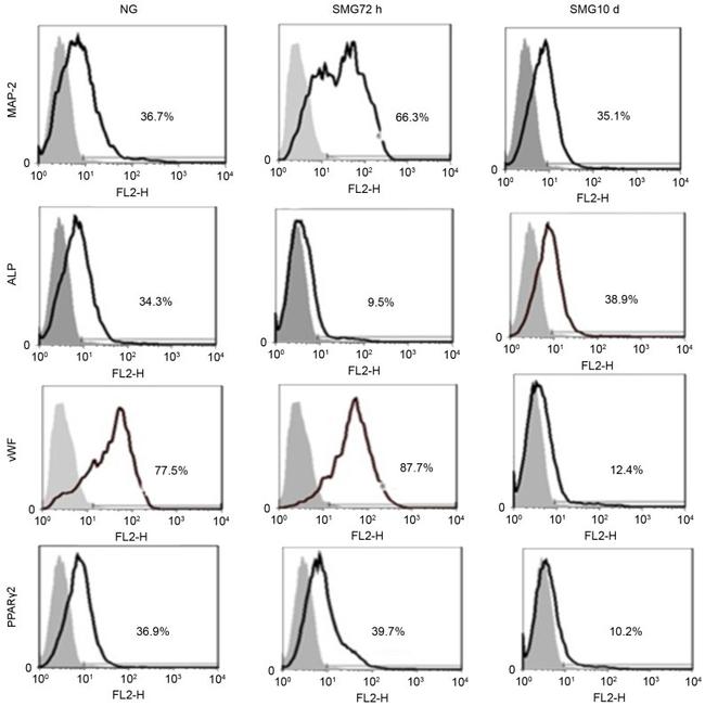 MAP2 Antibody in Flow Cytometry (Flow)