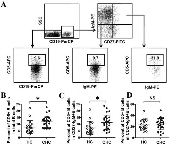 CD27 Antibody in Flow Cytometry (Flow)