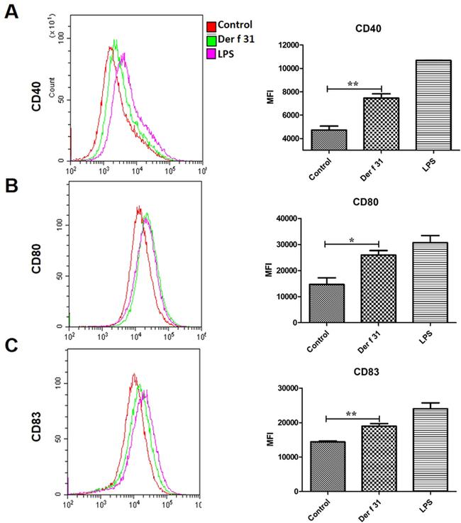 CD40 Antibody in Flow Cytometry (Flow)