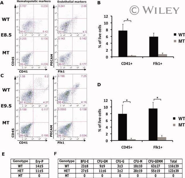 CD41a Antibody in Flow Cytometry (Flow)