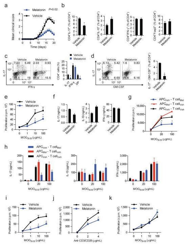 CD28 Antibody in T-Cell Activation (TCA)