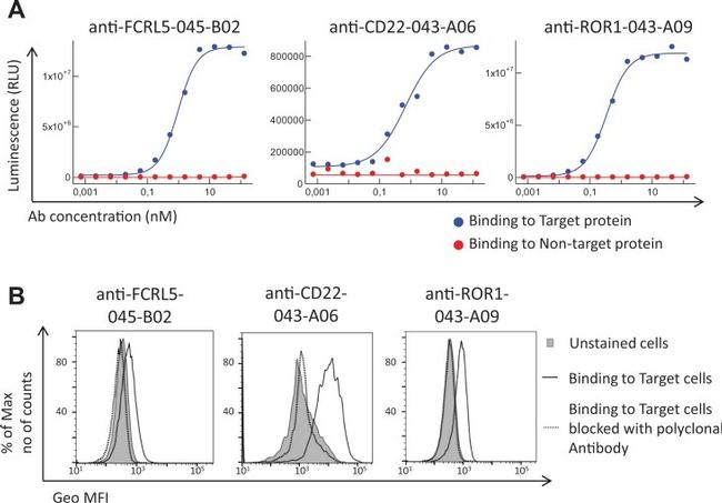 CD307e (FcRL5) Antibody in Flow Cytometry (Flow)