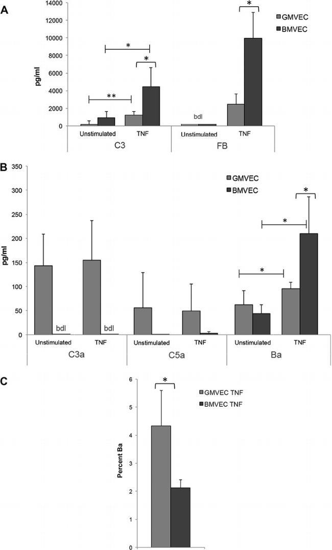 Complement C3a Antibody in ELISA (ELISA)